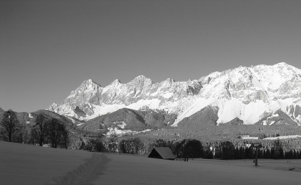 Pension Steiermark 斯拉德明 外观 照片