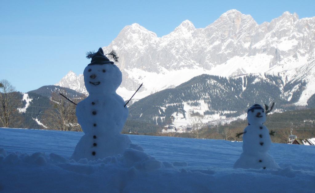 Pension Steiermark 斯拉德明 外观 照片