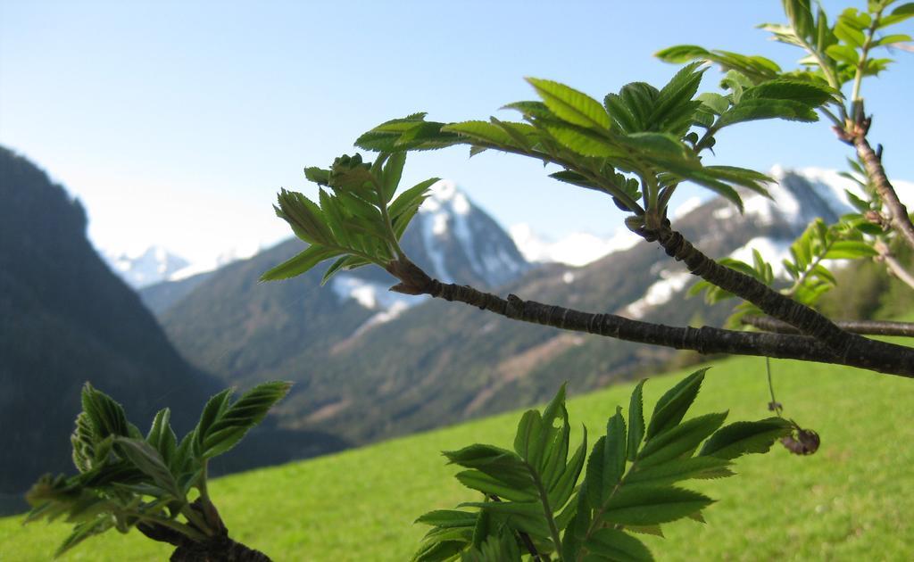 Pension Steiermark 斯拉德明 外观 照片