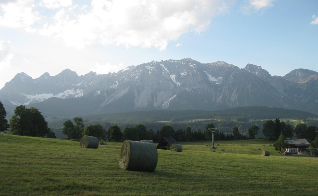 Pension Steiermark 斯拉德明 外观 照片