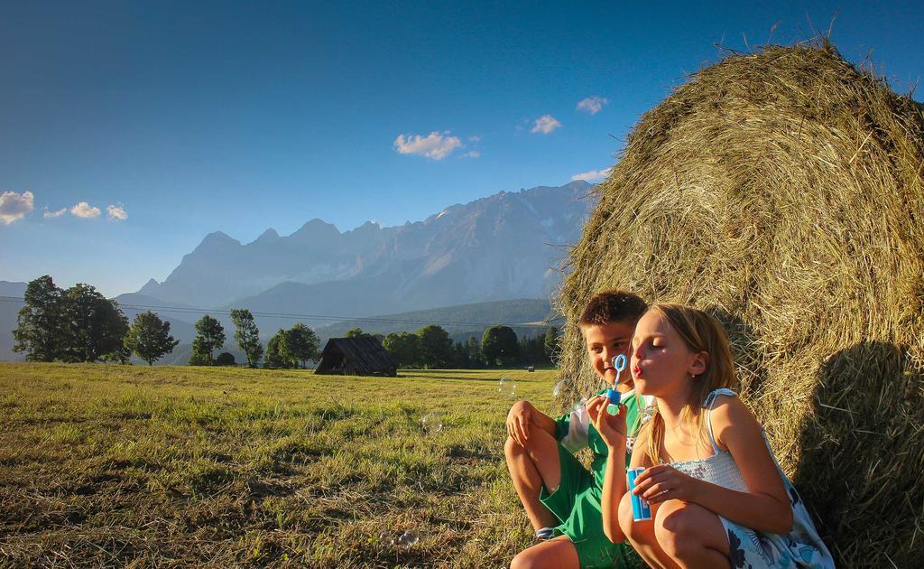 Pension Steiermark 斯拉德明 外观 照片